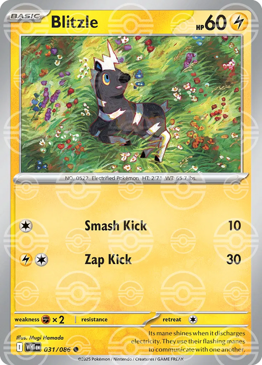 Blitzle (Poke Ball Pattern) (031/086) [White Flare]